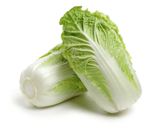Chinese cabbage